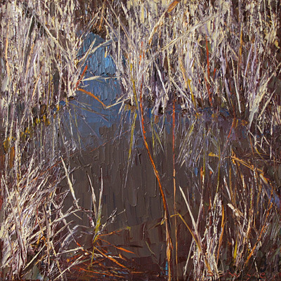 Reflection in the Reeds